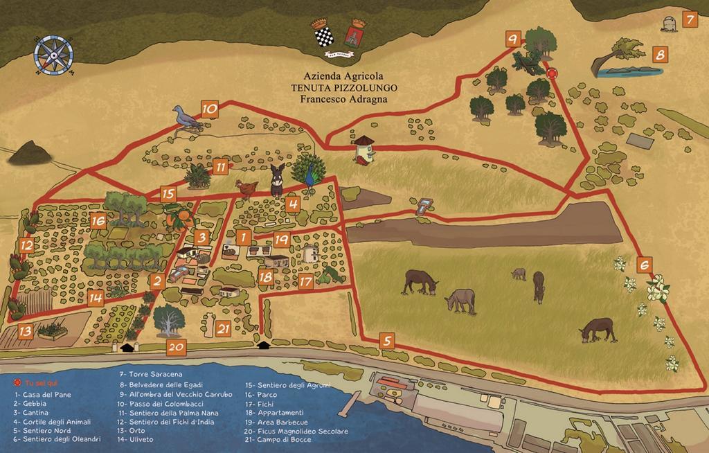 Azienda Agrituristica Tenuta Pizzolungo Erice Εξωτερικό φωτογραφία