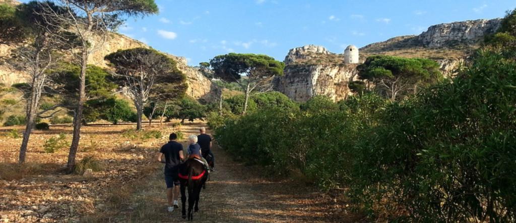 Azienda Agrituristica Tenuta Pizzolungo Erice Εξωτερικό φωτογραφία