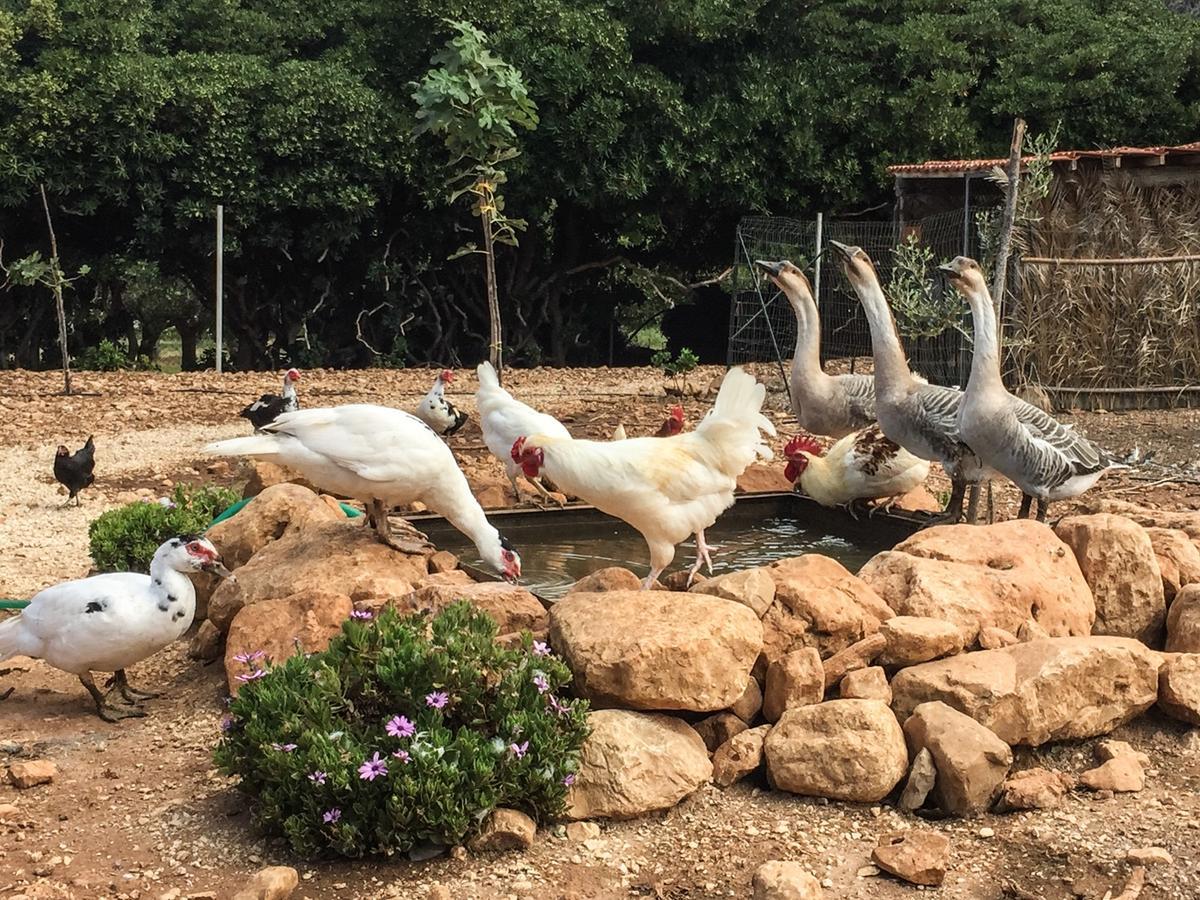 Azienda Agrituristica Tenuta Pizzolungo Erice Εξωτερικό φωτογραφία